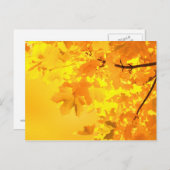 Geel Briefkaart (Voorkant / Achterkant)