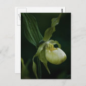 Geel Briefkaart (Voorkant / Achterkant)