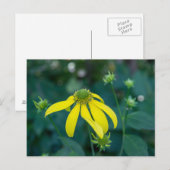 Geel Briefkaart van groene kever (Voorkant / Achterkant)