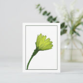 Geel Buttercup Botanisch Fotosketch Briefkaart (Staand voorkant)