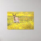 Geel Canvas Afdruk (Voorkant)