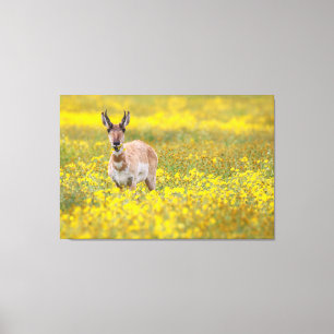 Geel Canvas Afdruk