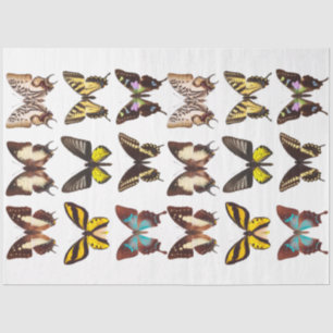 Geel Collectie van de Botervlieontbinding Tissuepapier