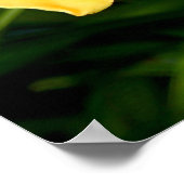 Geel Cymbidium Orchid Poster (Hoek)