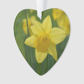 Geel Daffodil Ornament (voorkant)