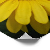 Geel Daisy Poster (Hoek)