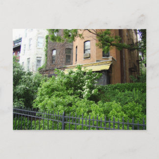 Geel dak en tuin briefkaart