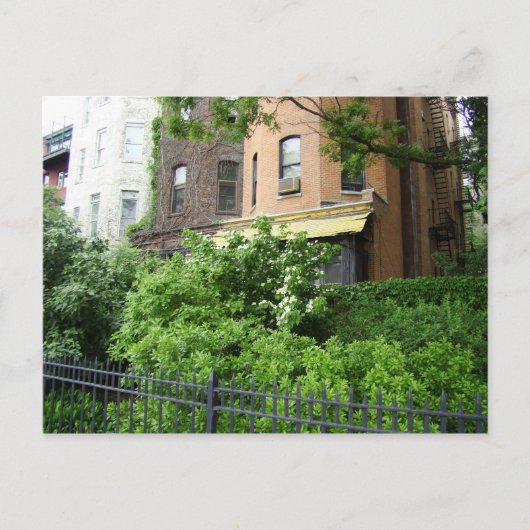 Geel dak en tuin briefkaart (Voorkant)