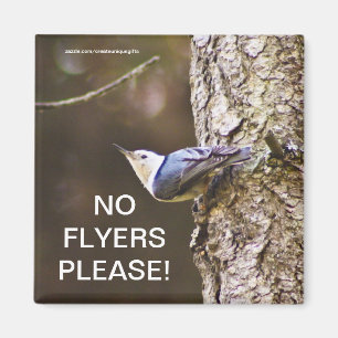 Geel en blauw vogel Geen brochures, Magnet Magneet