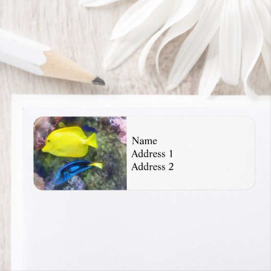 Geel en Blauwe Tang Vis Etiket (Insitu)