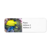 Geel en Blauwe Tang Vis Etiket (Voorkant)