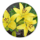 Geel en groen Lily Ceramic Pull Dull Knop (Voorkant)