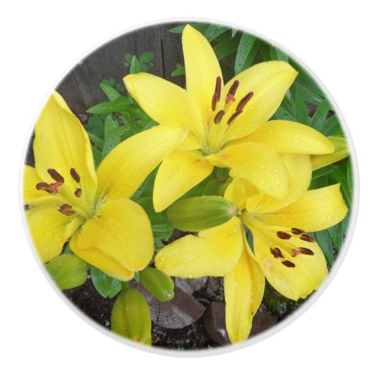 Geel en groen Lily Ceramic Pull Dull Knop (Voorkant)