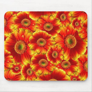 Geel en Oranje Gerbera Daisies Muismat