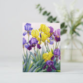 Geel en Paars Irises Briefkaart (Staand voorkant)