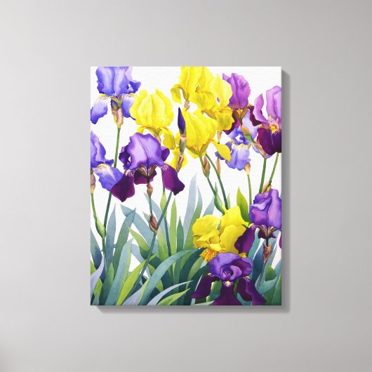 Geel en Paars Irises Canvas Afdruk (Voorkant)