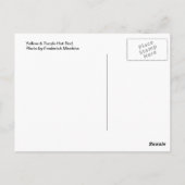 Geel en Paars warm ijs Briefkaart (Achterkant)