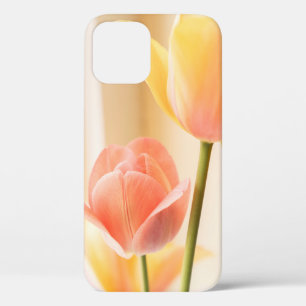 GEEL EN RODE TULIP IN BLOOM SLUIT FOTO iPhone 12 HOESJE