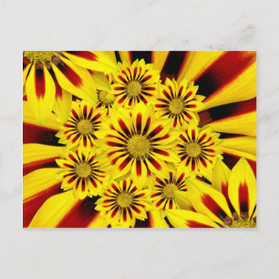 Geel en rood gestreept Gerbera Daisy Sunflower Briefkaart