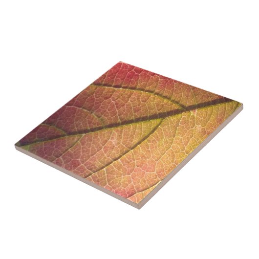 Geel en rood Herfst blad Tegeltje (Zijkant)
