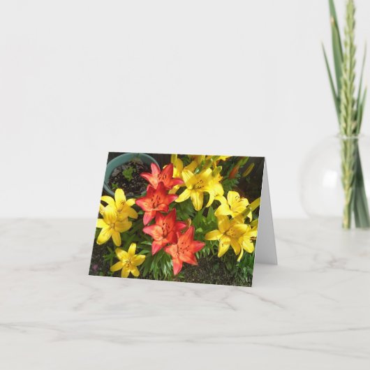 Geel en rood Lily Flower Photo Design Greet Kaart (Voorkant)