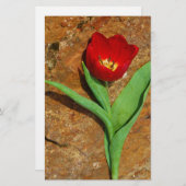 Geel en rood Tulip Briefpapier (Voorkant / Achterkant)