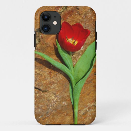 Geel en rood Tulip Case-Mate iPhone Case (Achterkant)