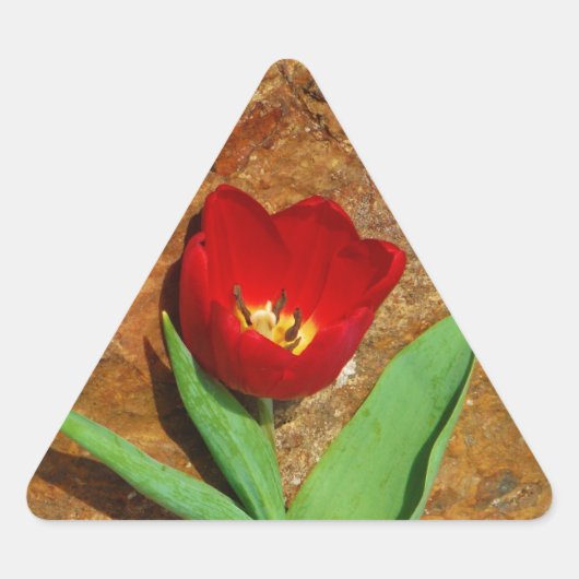 Geel en rood Tulip Driehoek Sticker (Voorkant)