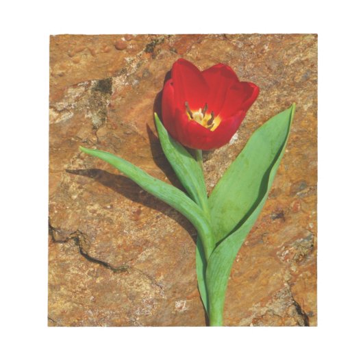 Geel en rood Tulip Notitieblok (Voorkant)