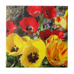 Geel en rood Tulips keramisch materiaal Tegeltje