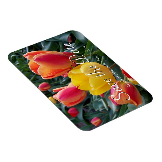 Geel en rood Tulips Tuin Foto opslaan Datum Magneet (Rechterzijde)