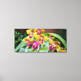 Geel en roze Orchidee bloemen Canvas Afdruk