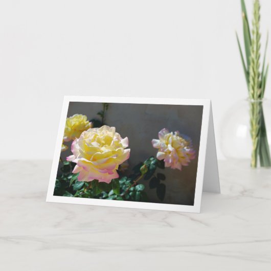 Geel en Roze Rozen Portret Kaart (Voorkant)