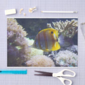 geel en wit zout tissuepapier (Craft)