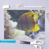 geel en wit zout tissuepapier (Craft)