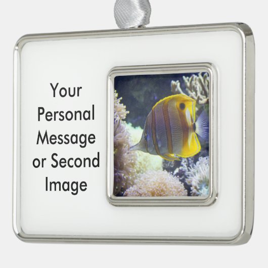 geel en wit zout verzilverd kader ornament (Links)