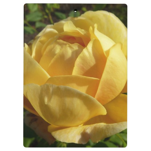 Geel Engels Roos Klembord (Achterkant)