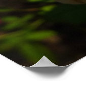 Geel Engels Roos Poster (Hoek)