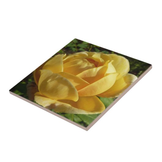 Geel Engels Roos Tegeltje (Zijkant)