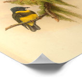 Geel gebandeerde Robin Bird  Print (Hoek)