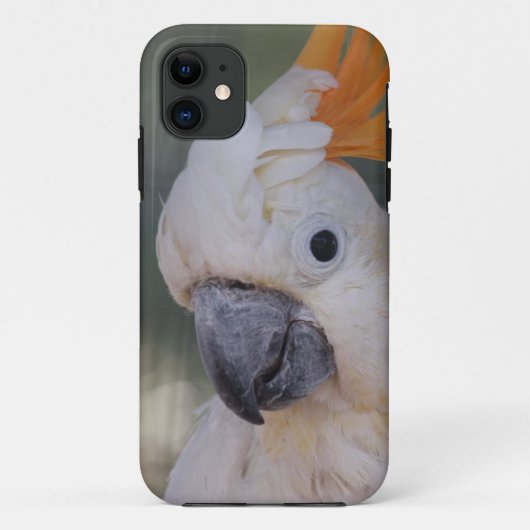Geel gebluste katoen (iPhone 5 Hoesje) Case-Mate iPhone Case (Achterkant)