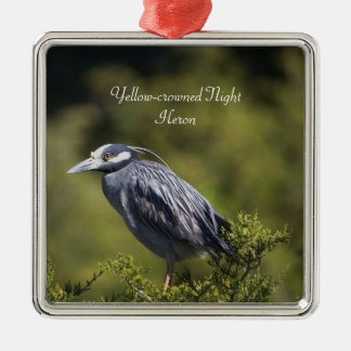 Geel gekroonde Night Heron Ornament