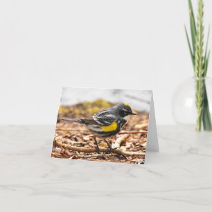 Geel-gepompte Warbler #1 - Blanco briefkaart