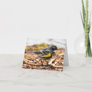 Geel-gepompte Warbler #1 - Blanco briefkaart