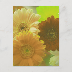Geel Gerbera Daisy Flower Photo Art Briefkaart