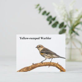 Geel-gerommeerde Warbler Briefkaart