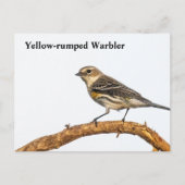 Geel-gerommeerde Warbler Briefkaart (Voorkant)
