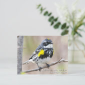 Geel-gerommeerde Warbler Briefkaart (Staand voorkant)