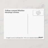 Geel-gerommeerde Warbler Briefkaart (Achterkant)