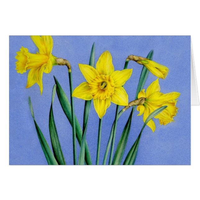 Geel geschilderde waterverf Daffodils art card (Voorkant Horizontaal)